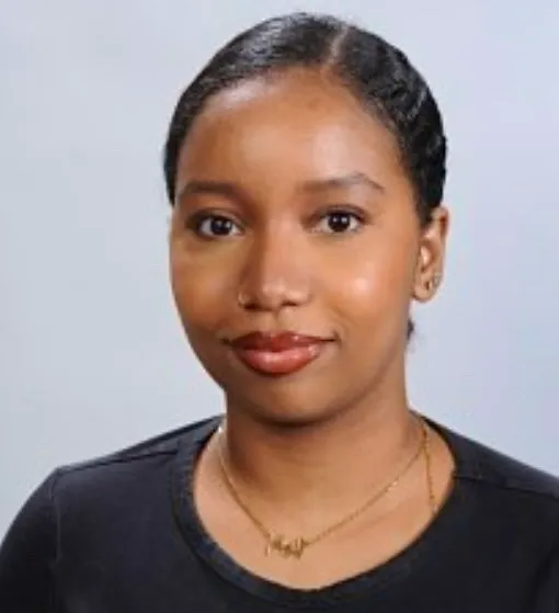 Ilham, nounou (garde à domicile) à Rosny-sous-Bois